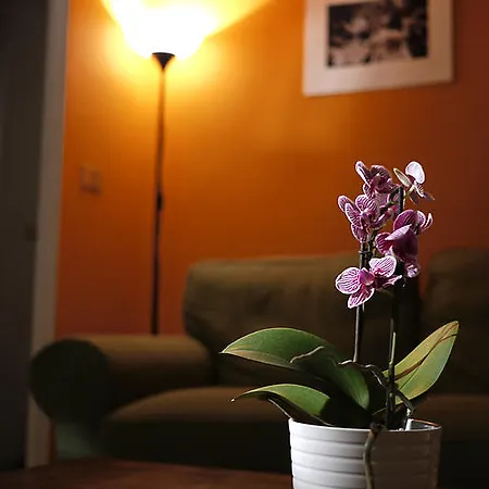 Panzió Immagineazione Nápoly