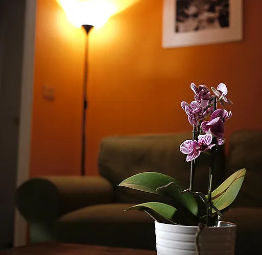 Bed and Breakfast Immagineazione Νάπολη